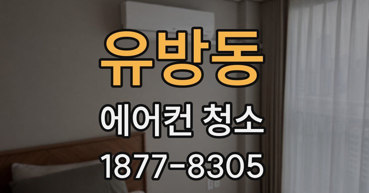 유방동 에어컨 청소