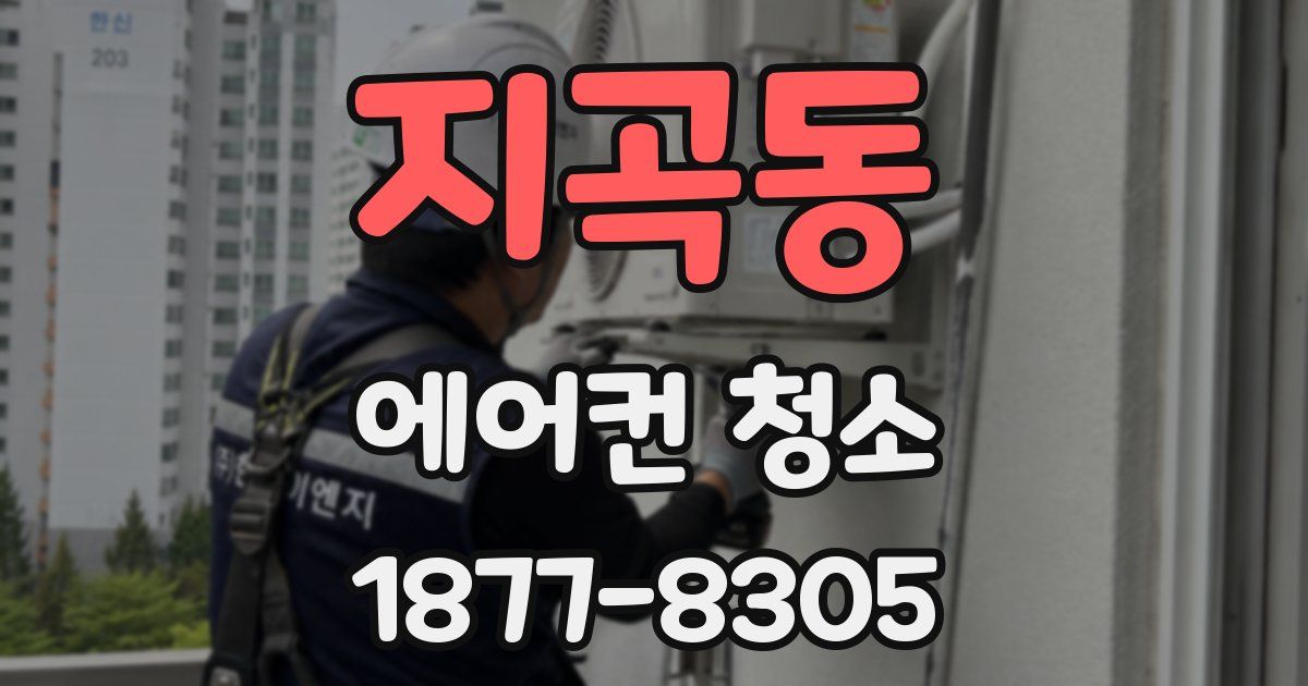 지곡동 에어컨 청소