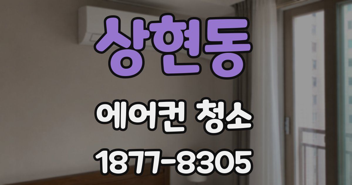 상현동 에어컨 청소