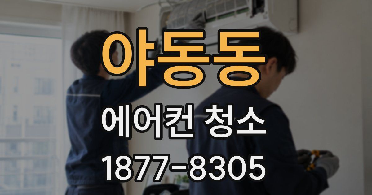 야동동 에어컨 청소