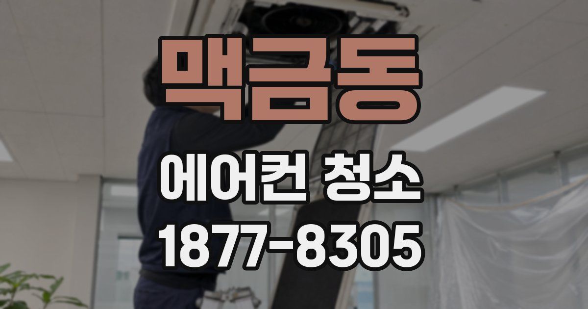 맥금동 에어컨 청소