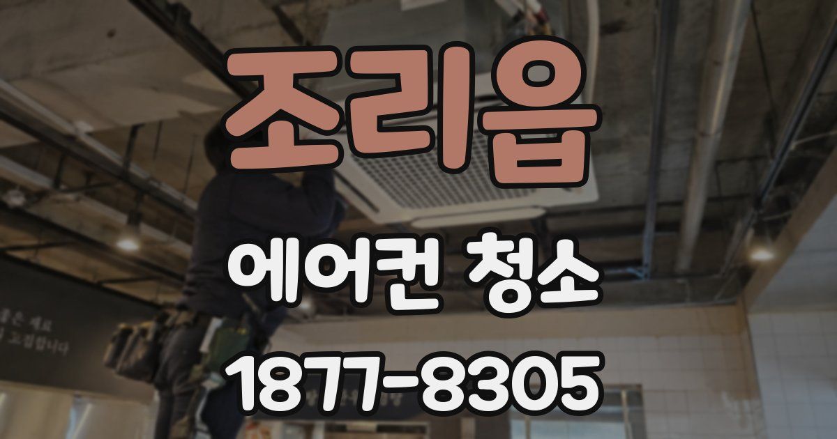 조리읍 에어컨 청소