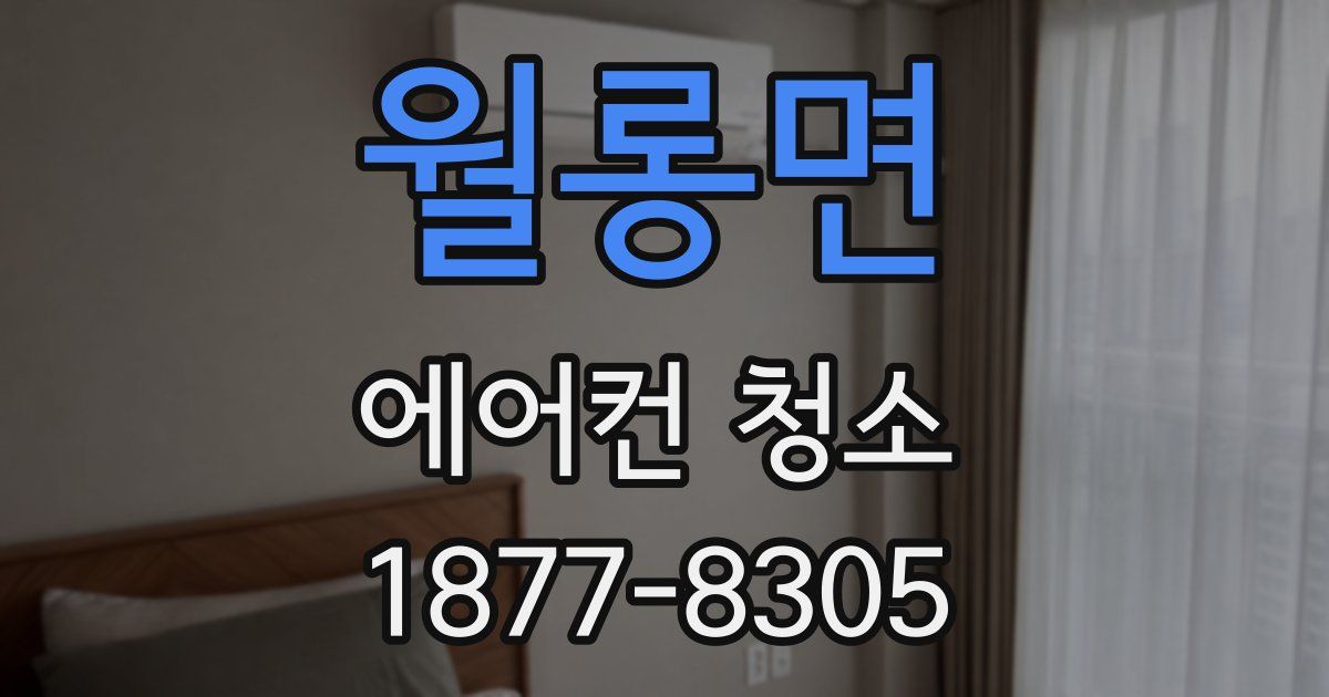 월롱면 에어컨 청소
