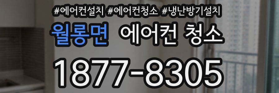 월롱면 에어컨 청소