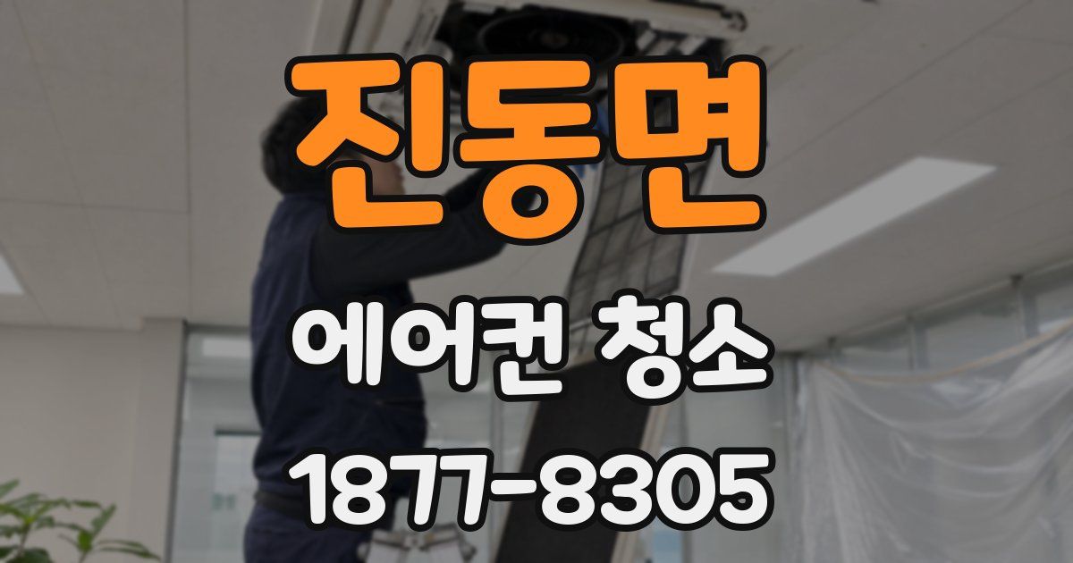 진동면 에어컨 청소