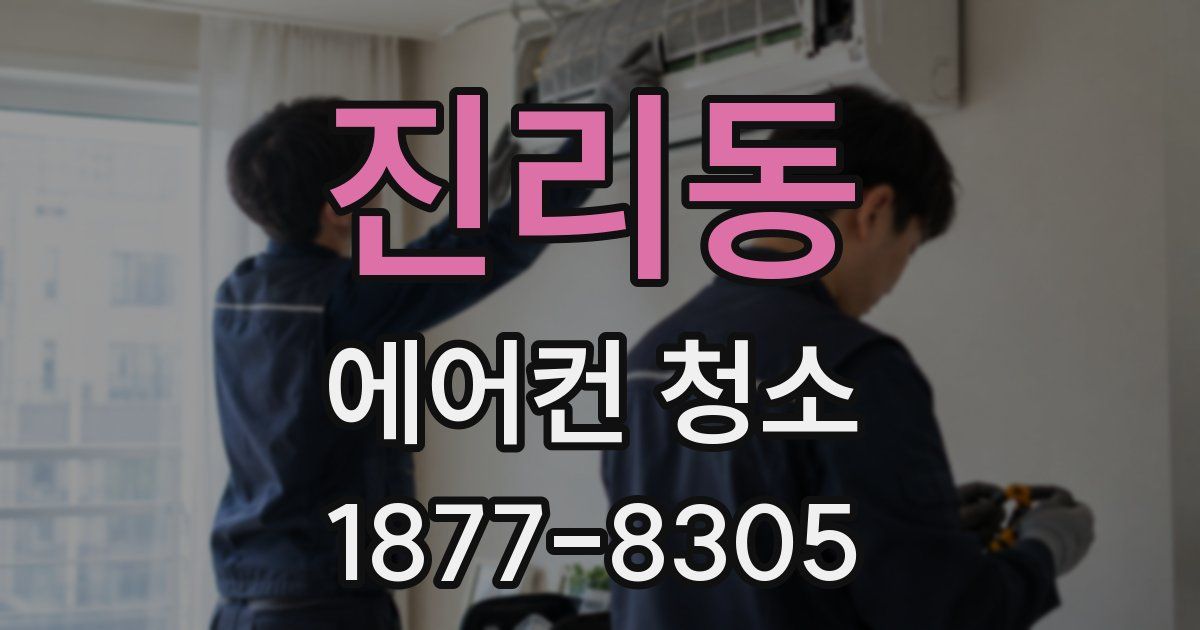 진리동 에어컨 청소