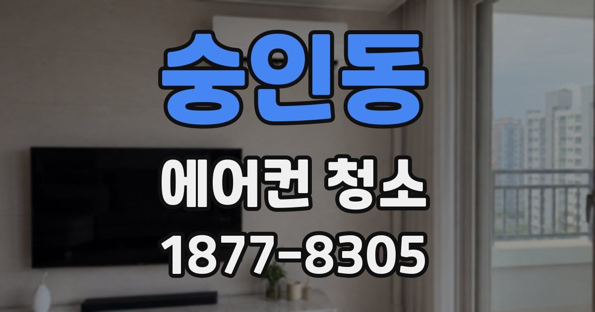숭인동 에어컨 청소