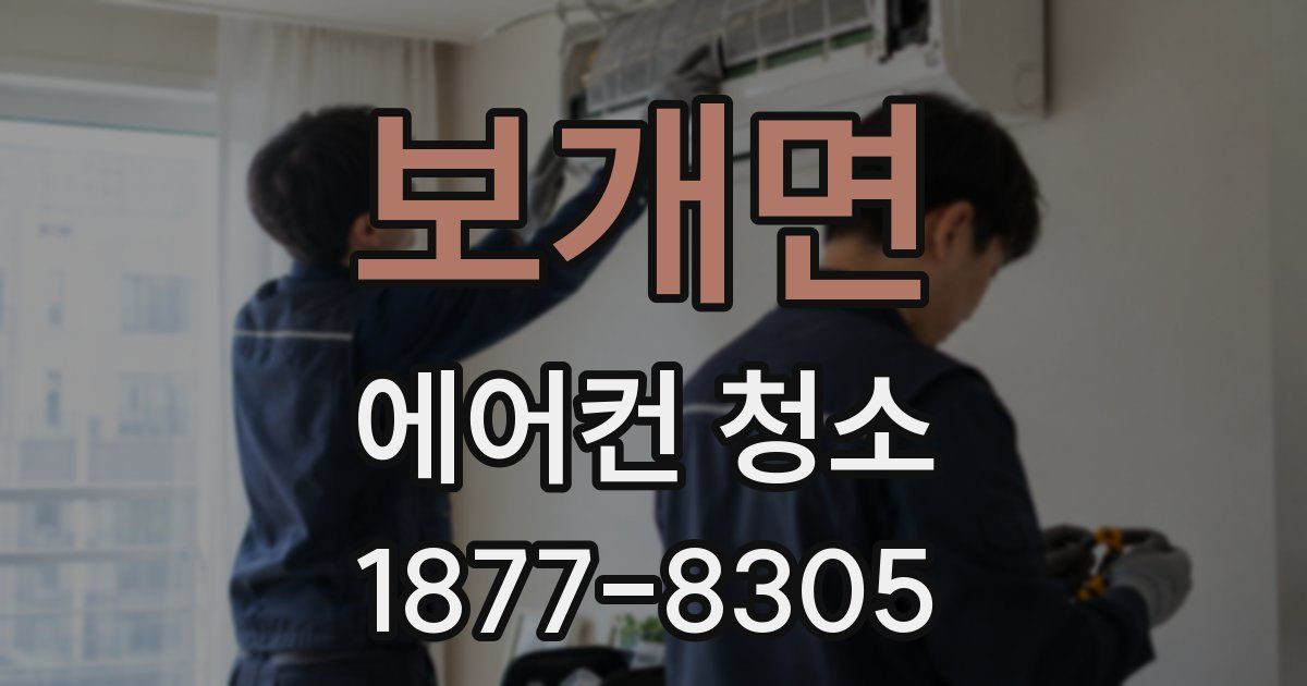 보개면 에어컨 청소