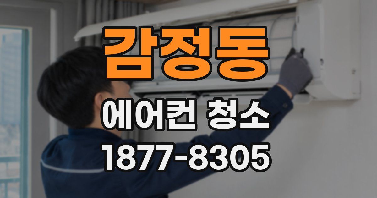 감정동 에어컨 청소
