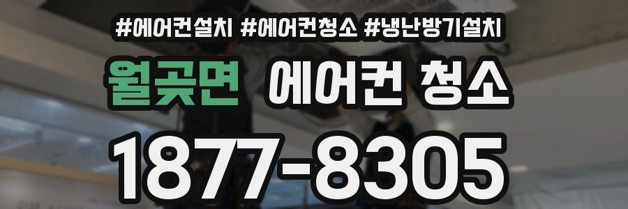 월곶면 에어컨 청소