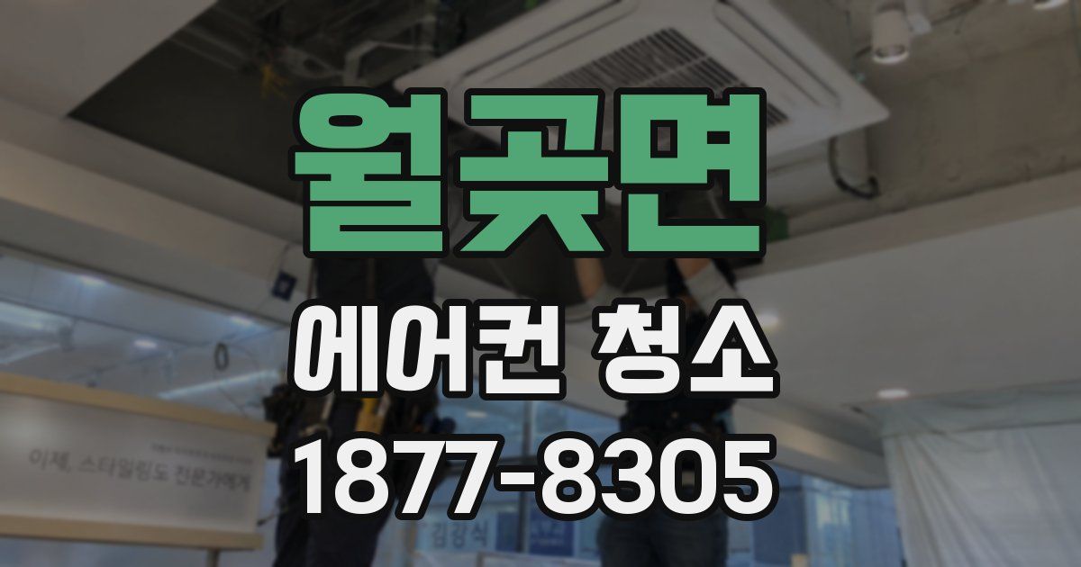 월곶면 에어컨 청소