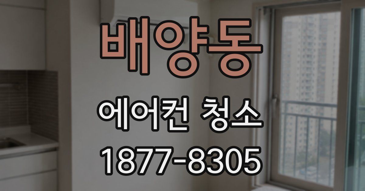 배양동 에어컨 청소
