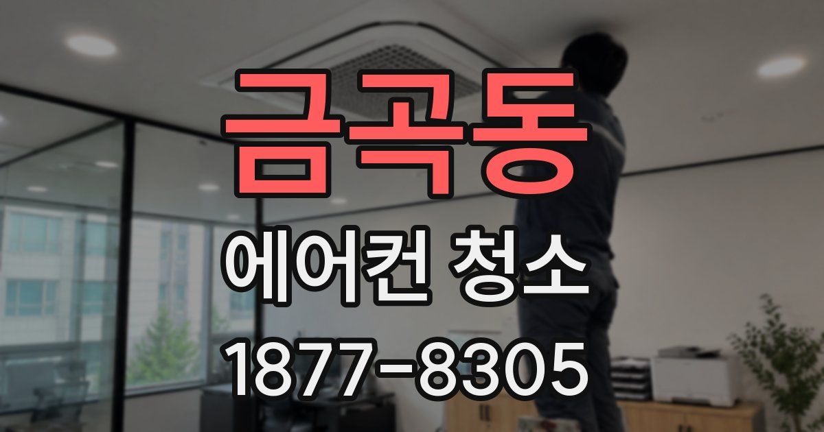 금곡동 에어컨 청소