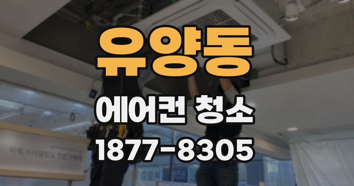유양동 에어컨 청소
