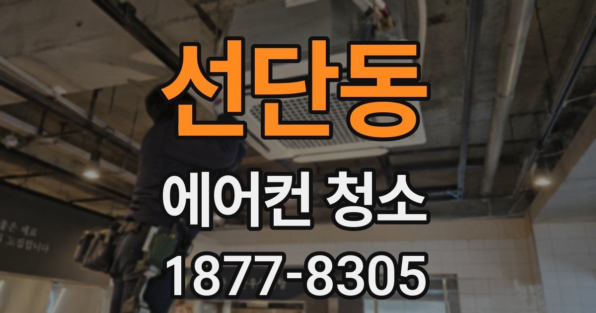 선단동 에어컨 청소
