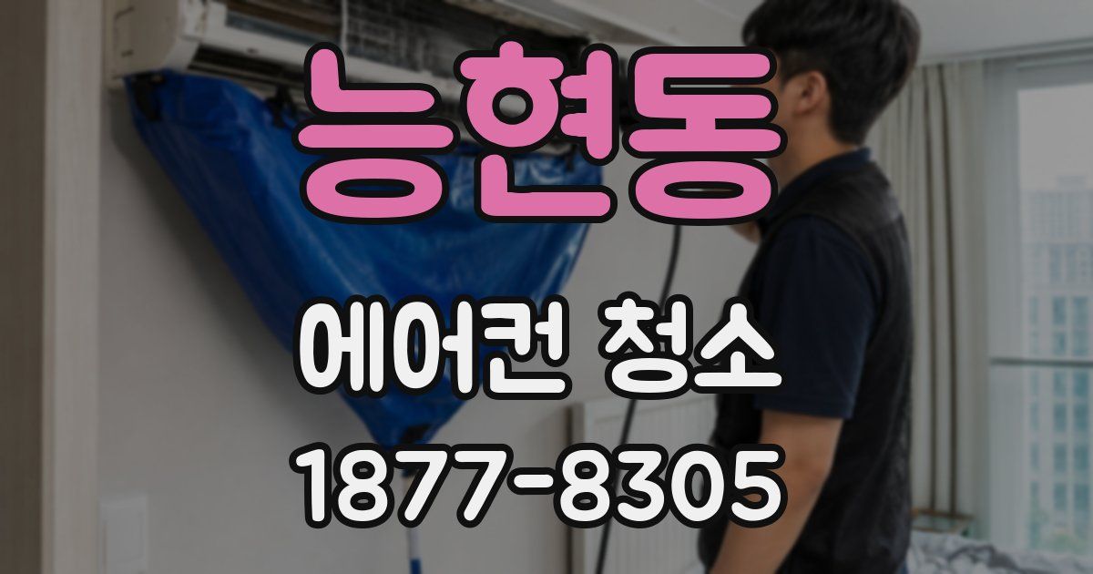 능현동 에어컨 청소