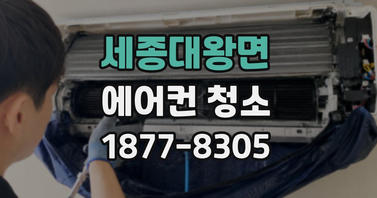 세종대왕면 에어컨 청소