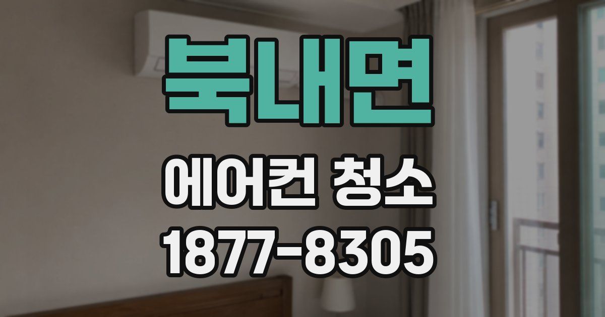 북내면 에어컨 청소