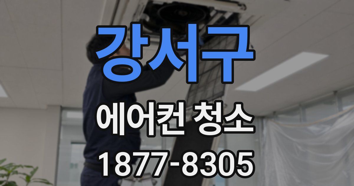 강서구 에어컨 청소