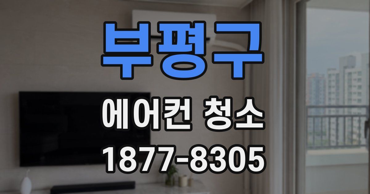부평구 에어컨 청소