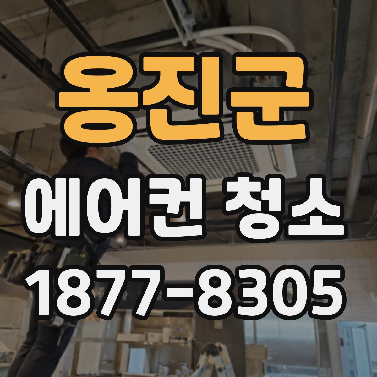 옹진군 에어컨 청소