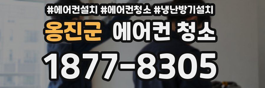 옹진군 에어컨 청소