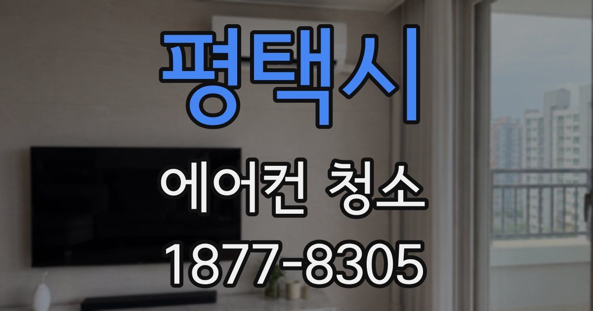 평택시 에어컨 청소