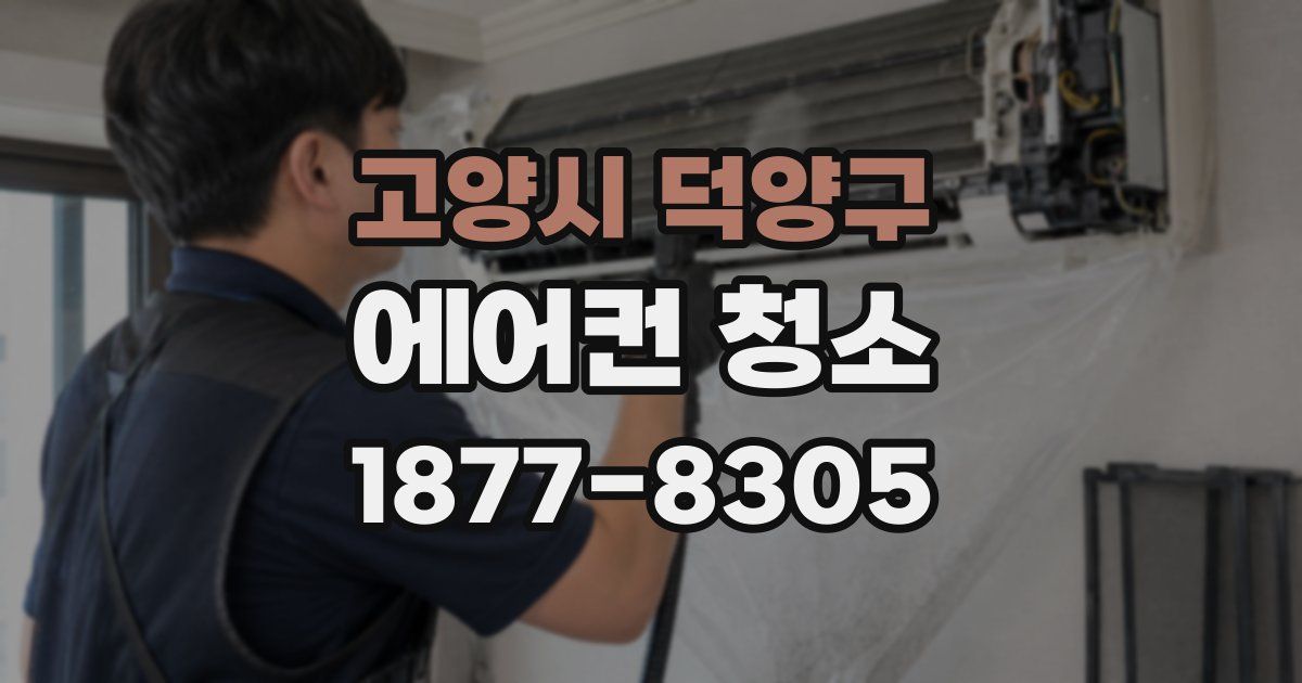 고양시 덕양구 에어컨 청소