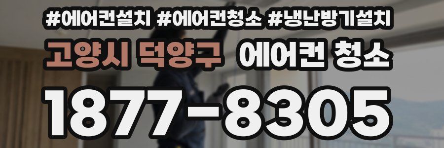 고양시 덕양구 에어컨 청소