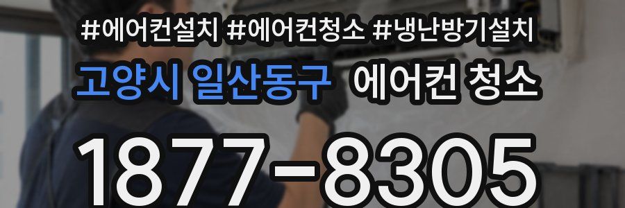고양시 일산동구 에어컨 청소