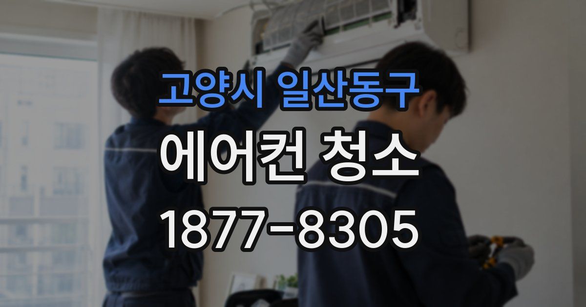 고양시 일산동구 에어컨 청소