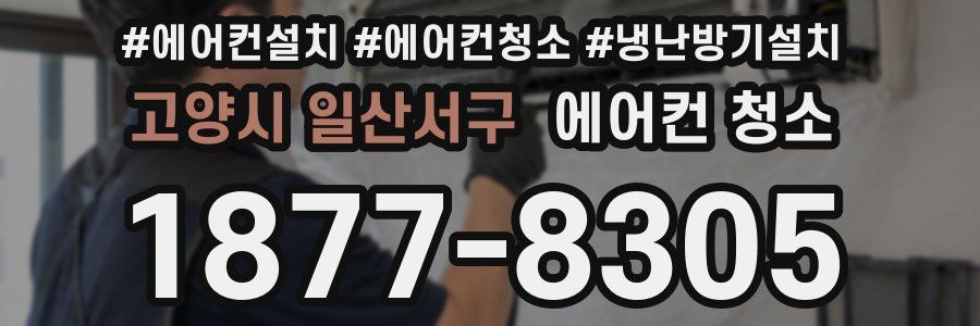 고양시 일산서구 에어컨 청소