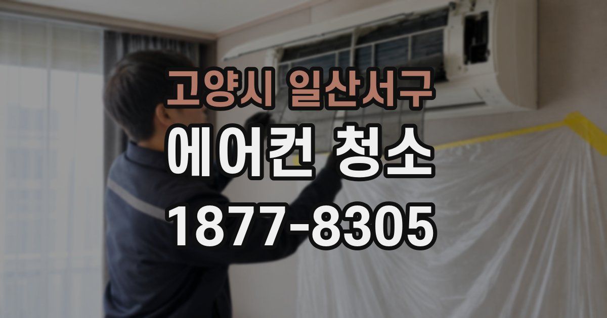 고양시 일산서구 에어컨 청소