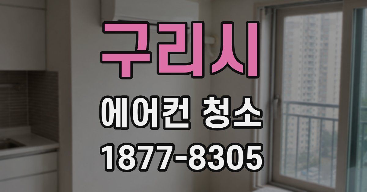 구리시 에어컨 청소
