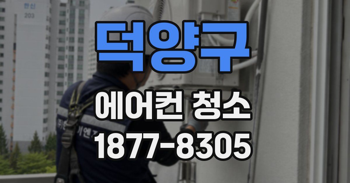 덕양구 에어컨 청소