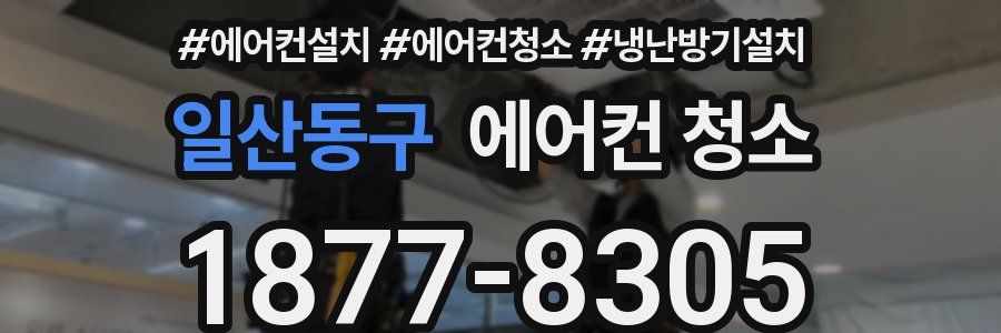 일산동구 에어컨 청소