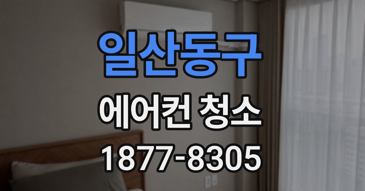 일산동구 에어컨 청소