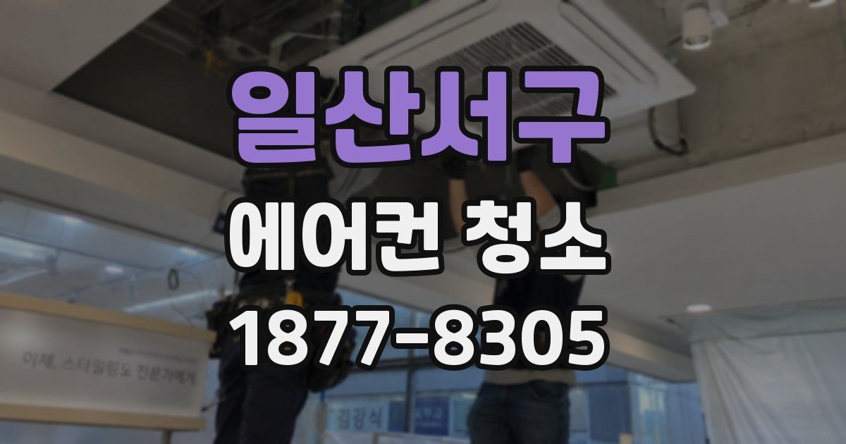 일산서구 에어컨 청소