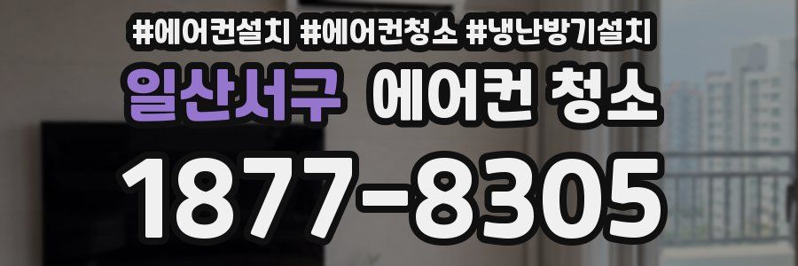 일산서구 에어컨 청소