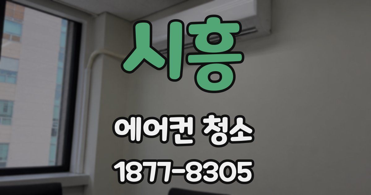 시흥 에어컨 청소