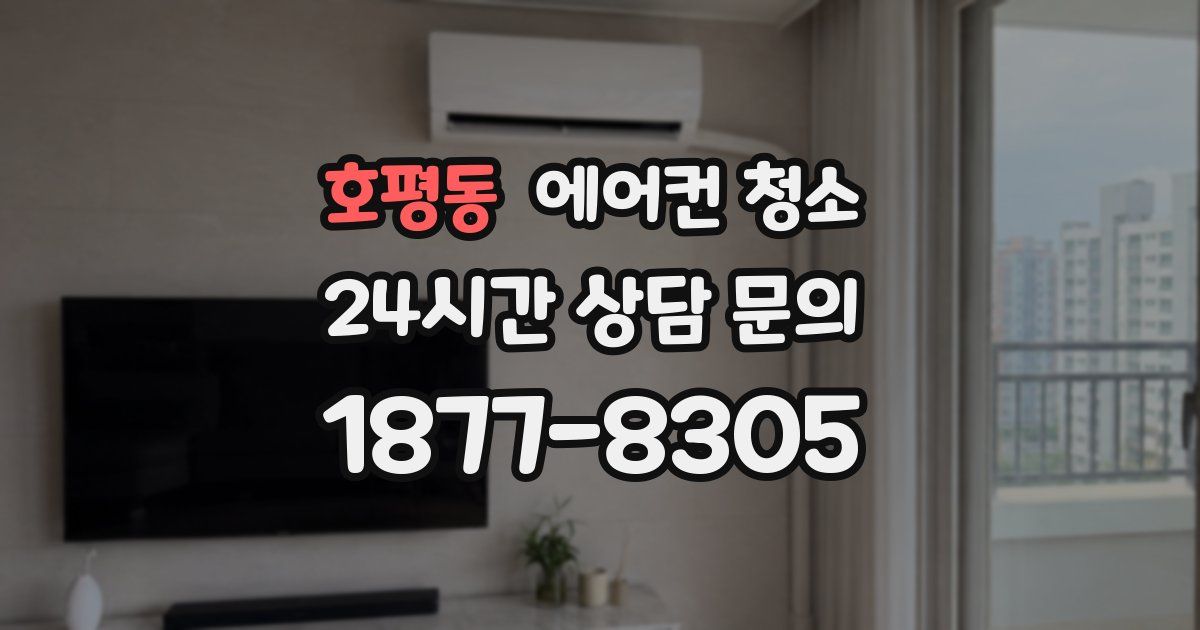 호평동 에어컨 청소
