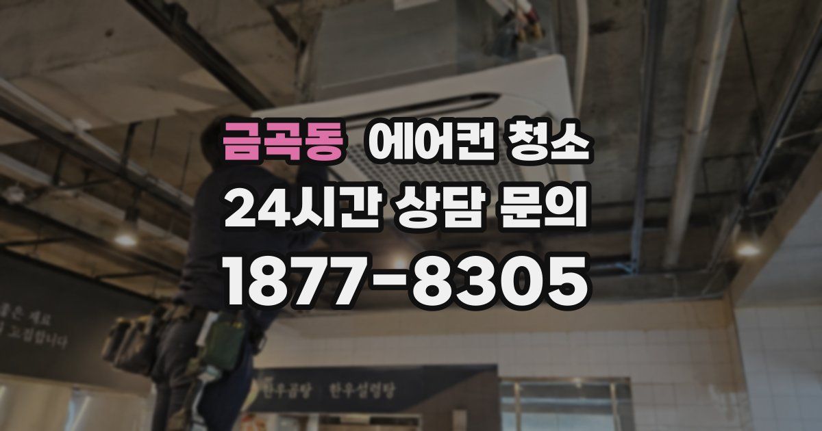 금곡동 에어컨 청소