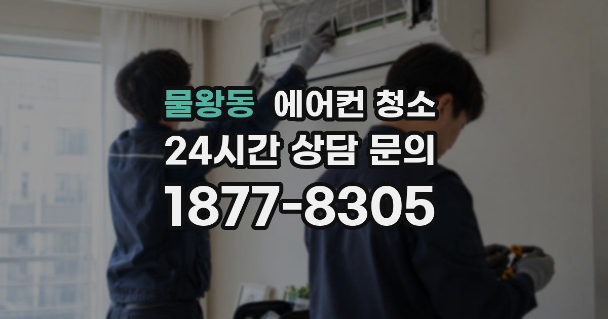 물왕동 에어컨 청소