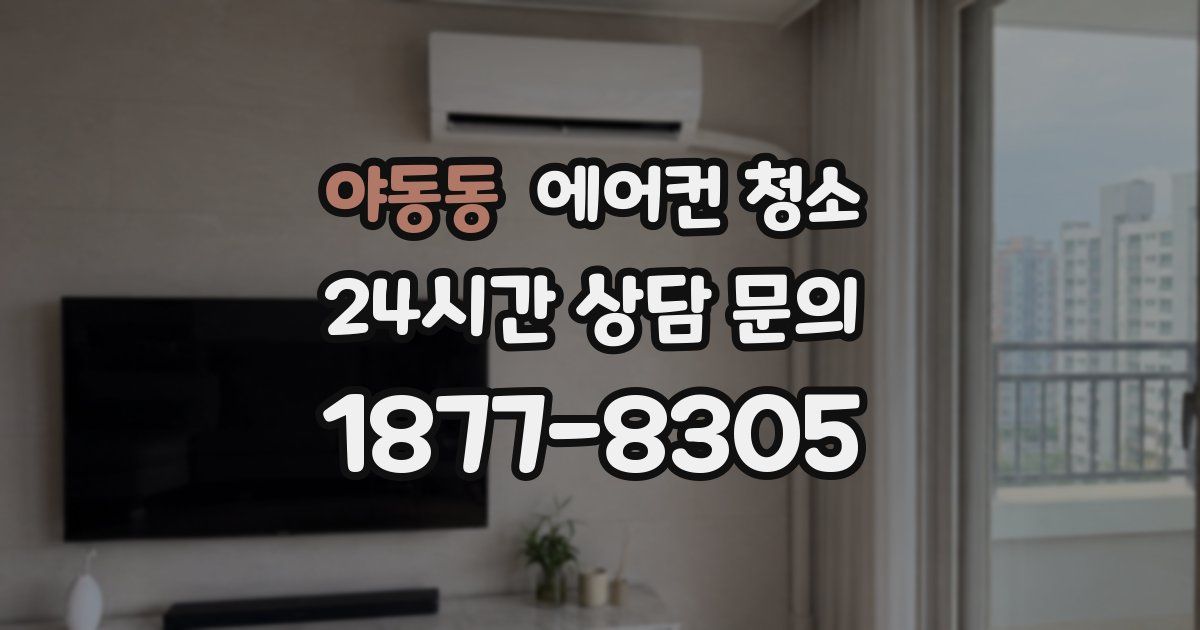 야동동 에어컨 청소