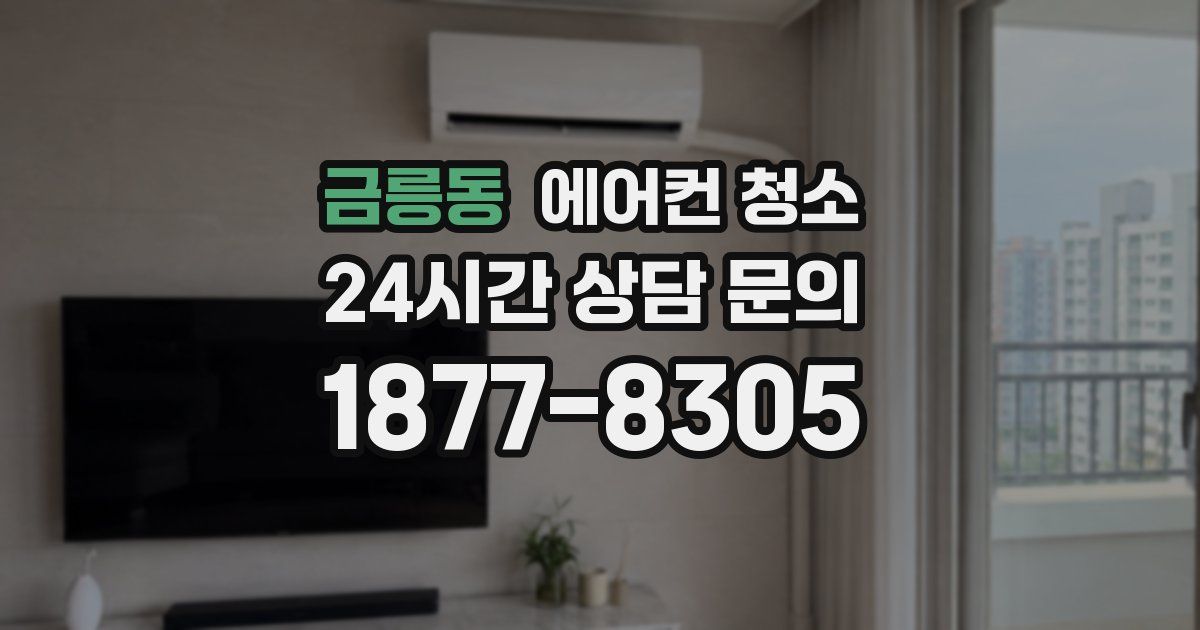 금릉동 에어컨 청소