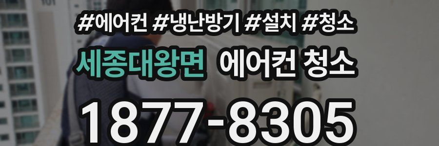 세종대왕면 에어컨 청소