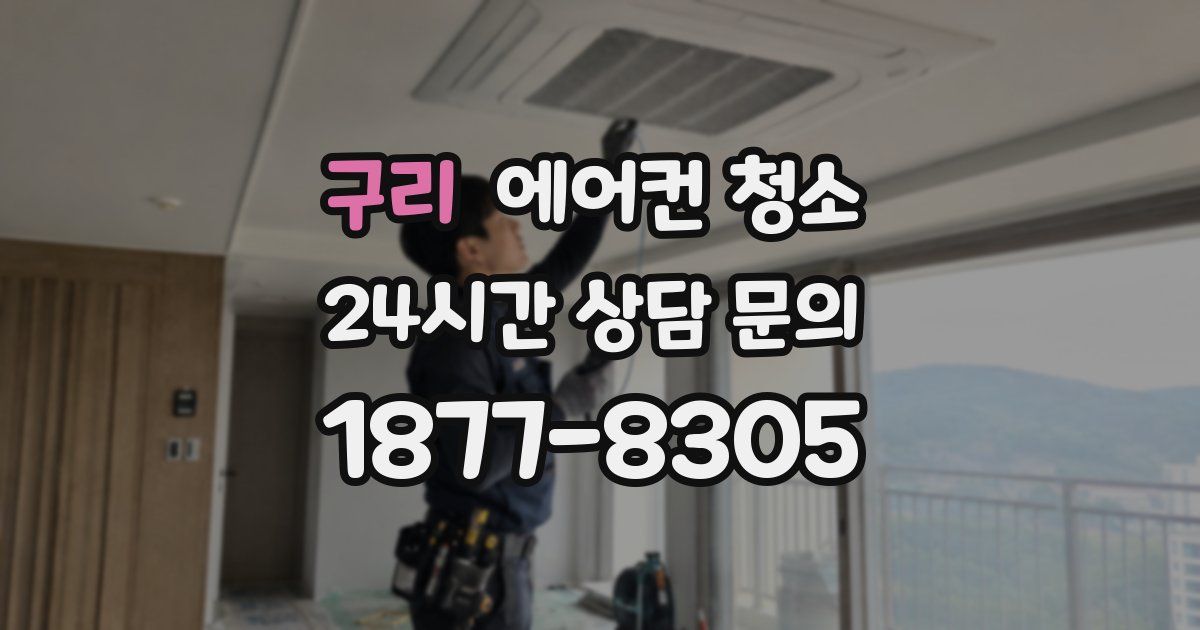 구리 에어컨 청소