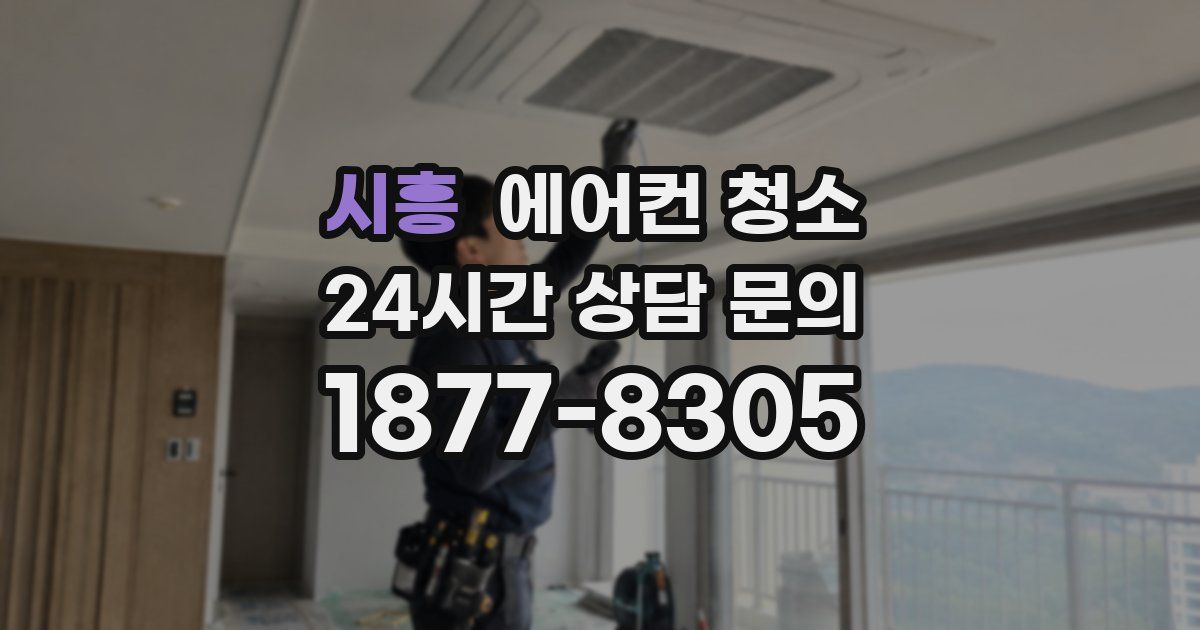 시흥 에어컨 청소