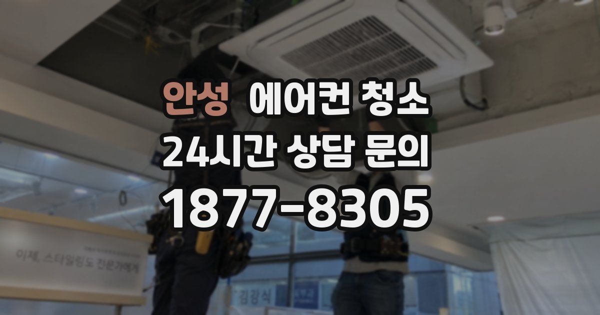 안성 에어컨 청소