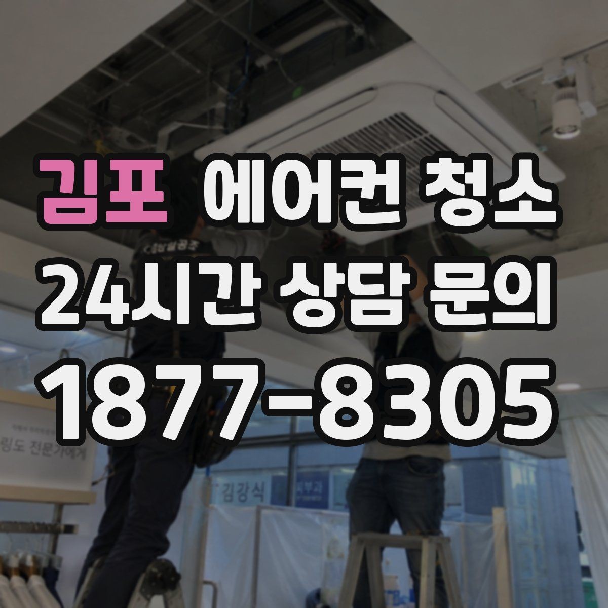 김포 에어컨 청소 청소 도구 소독까지 챙기는 털이 날리는 반려동물 환경